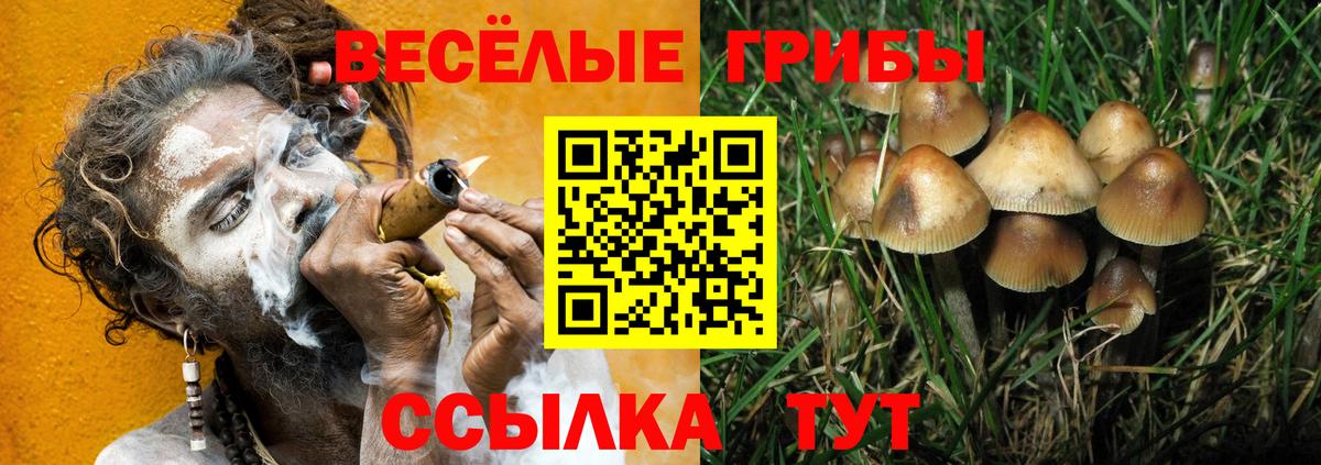 Галлюциногенные грибы MAGIC MUSHROOMS Большой Камень